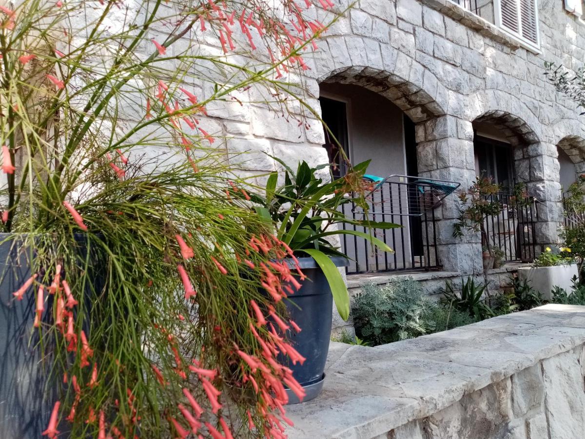 Apartment Zizi Omiš Exteriör bild